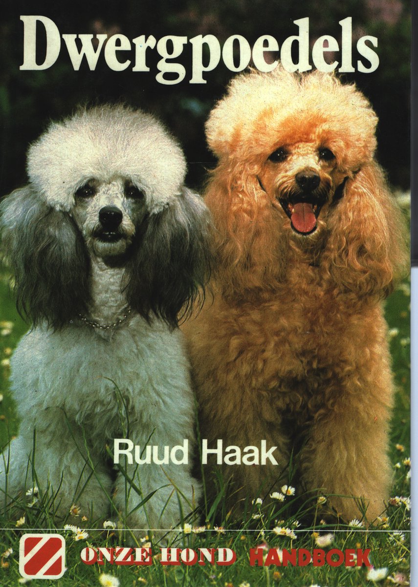 Dwergpoedels