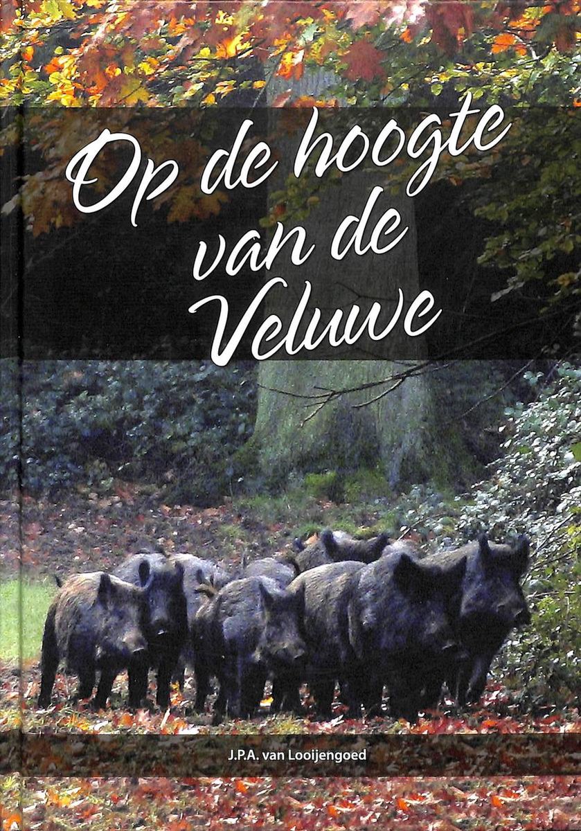 Op de hoogte van de Veluwe