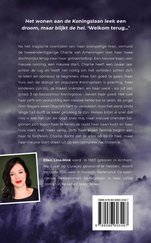 Koningslaan achterkant