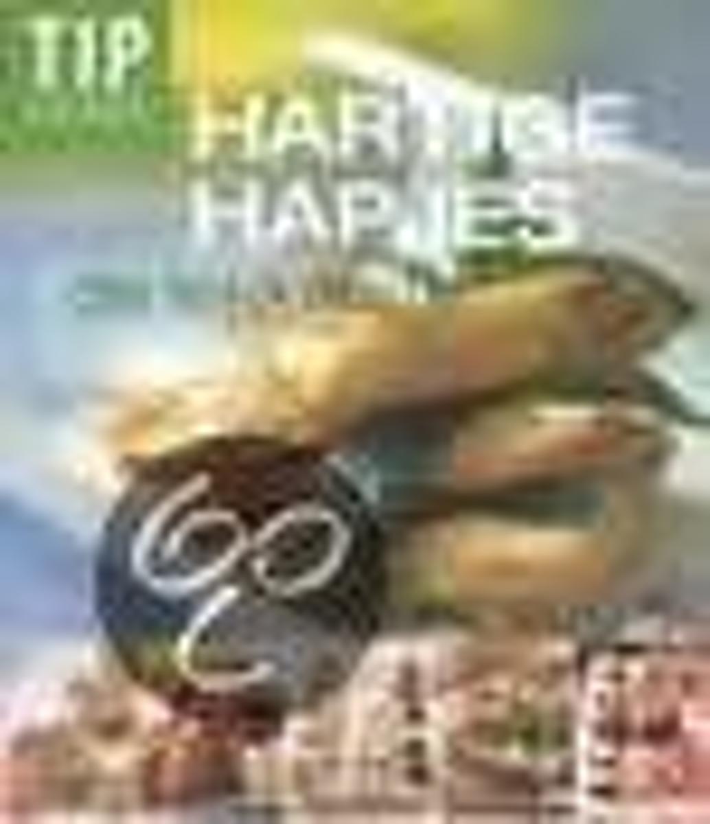 Hartige hapjes / Tip culinair