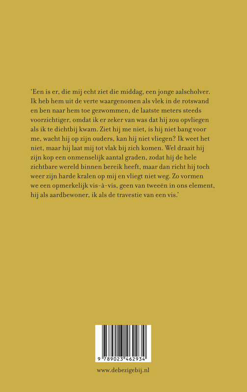 Labyrint Europa Alle latere reizen achterkant