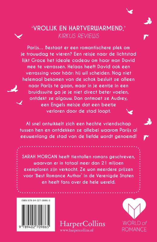 Een zomer in Parijs achterkant