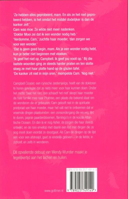 Als flamingo's op het schoolplein staan achterkant