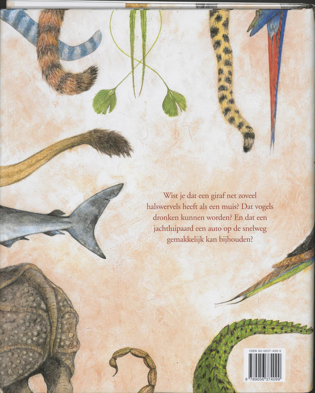 Van kop tot staart achterkant