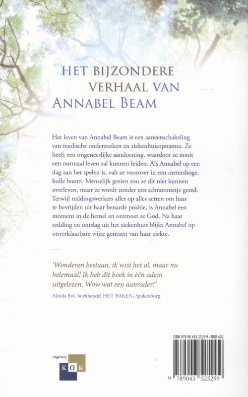 Het meisje dat God ontmoette achterkant