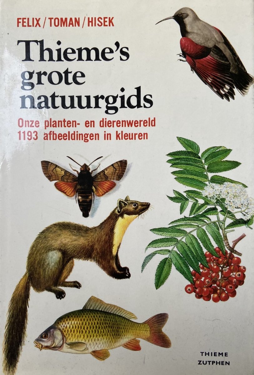 THIEME'S GROTE NATUURGIDS