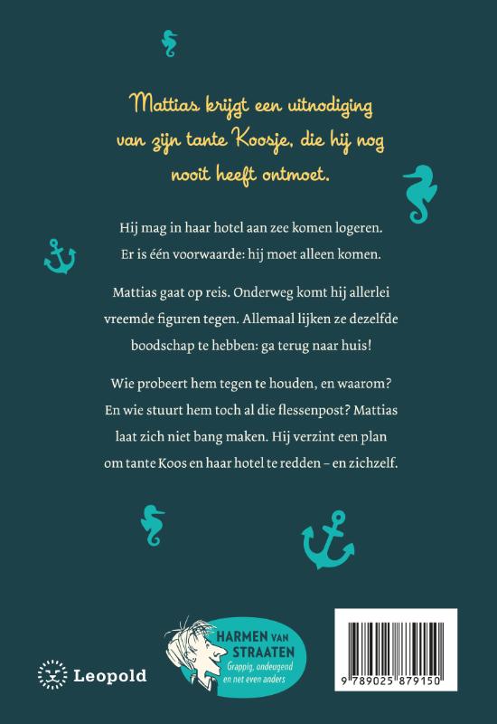 Het wonderbaarlijke scheepsjournaal van Mattias Spijker achterkant