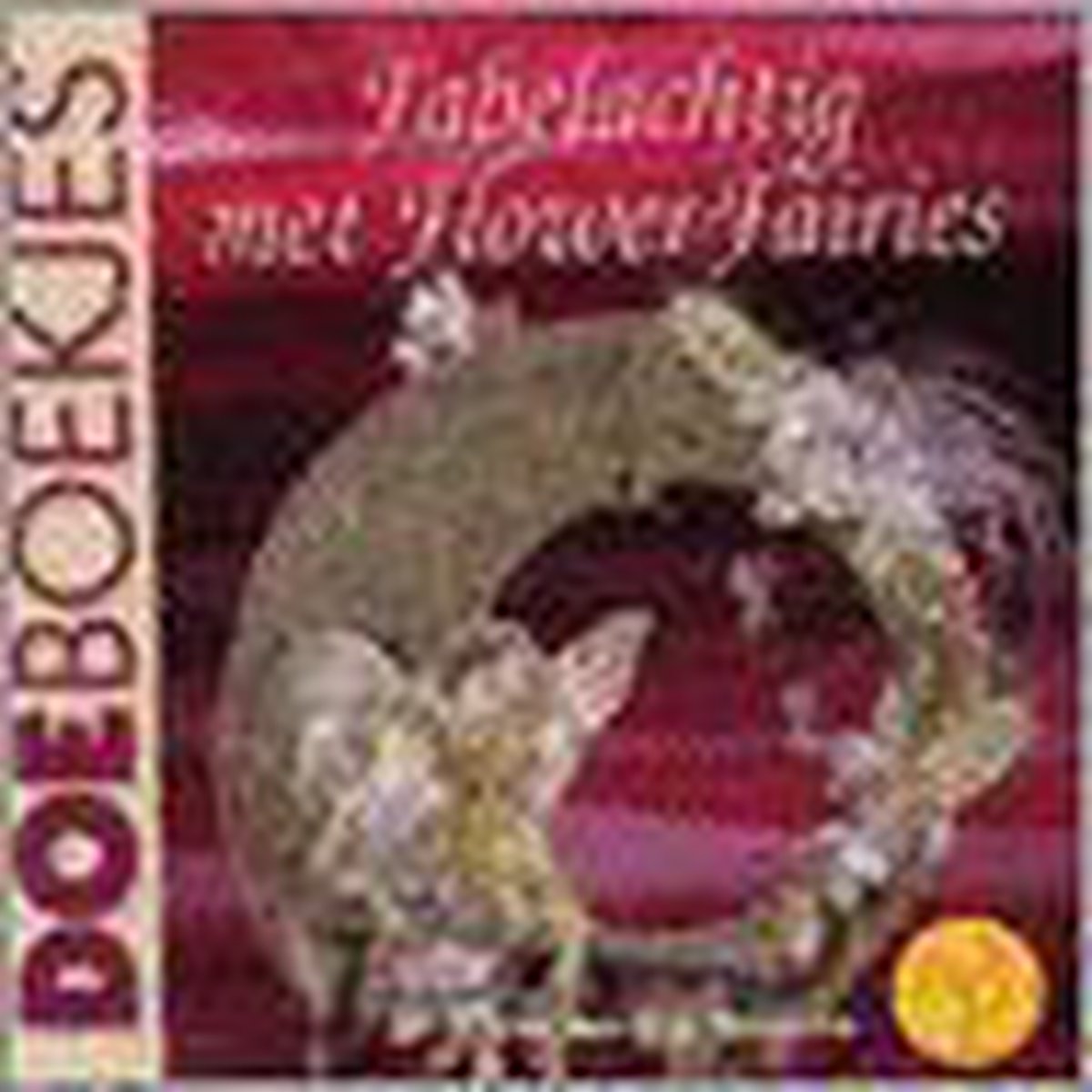Fabelachtig met Flower Fairies / Doeboekjes