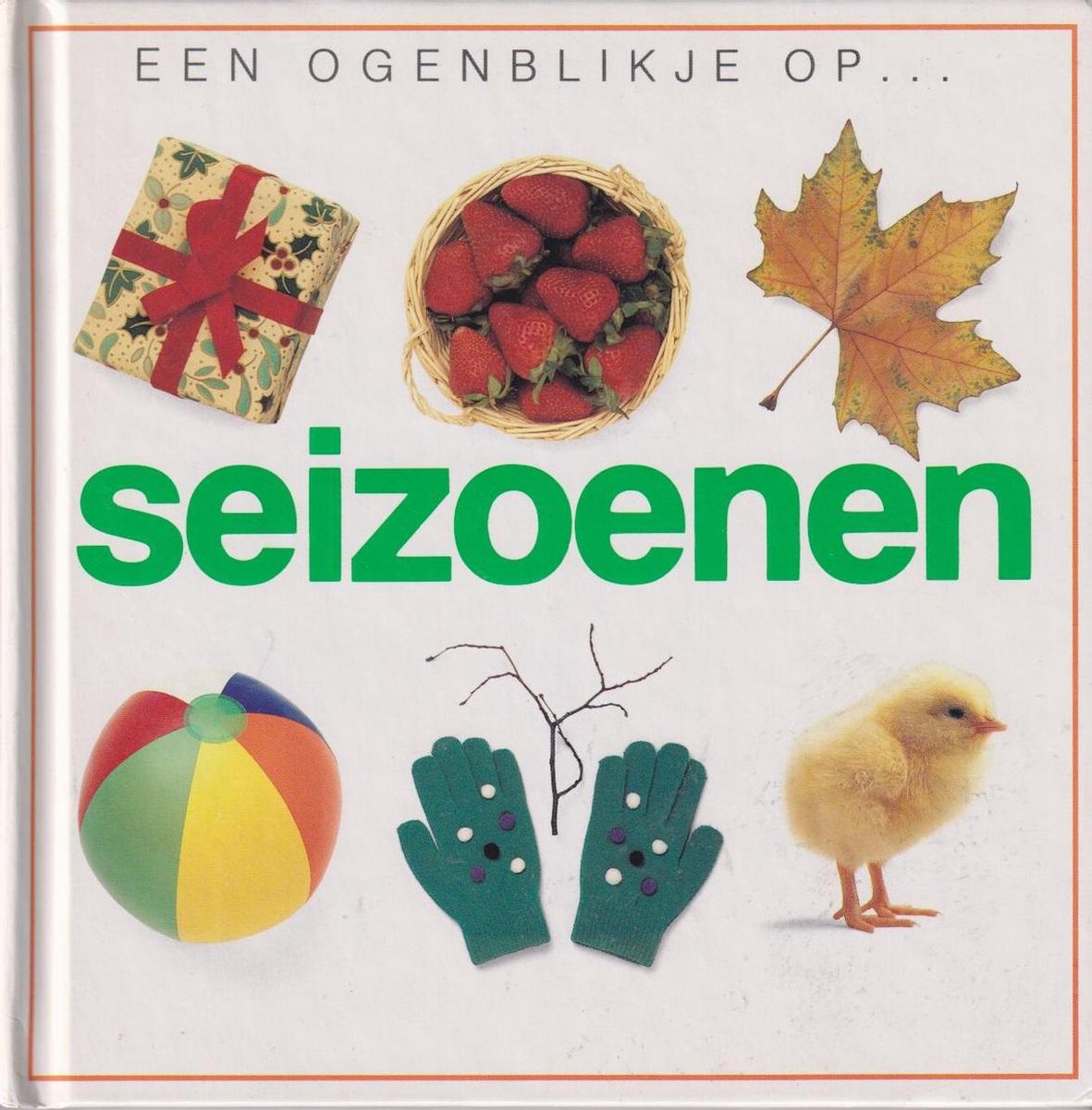 OGENBLIKJE OP SEIZOENEN