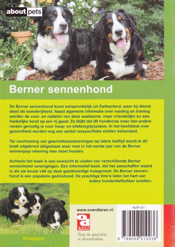 De Berner Sennenhond / Over Dieren achterkant