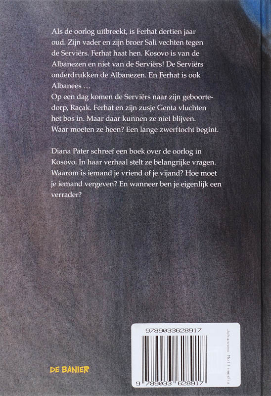 Zwerfkinderen achterkant