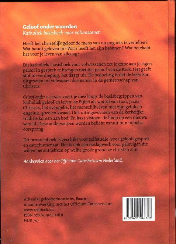 Geloof onder woorden achterkant