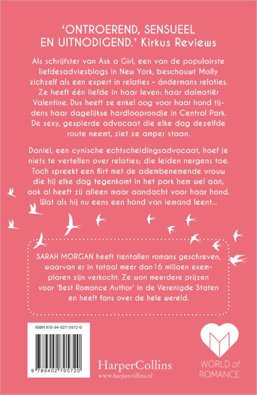 Dromen in de ochtendzon / De Manhattan-serie / 4 achterkant