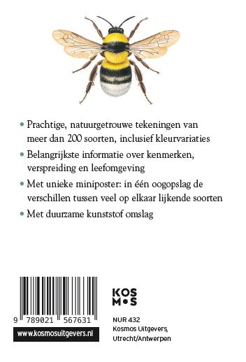 Insecten / Compactgids achterkant