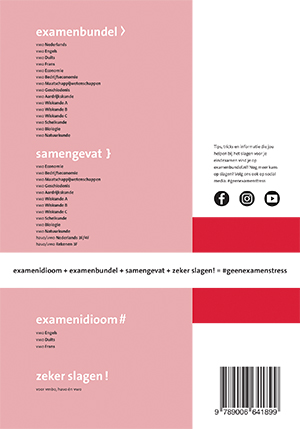 Samengevat vwo Economie achterkant