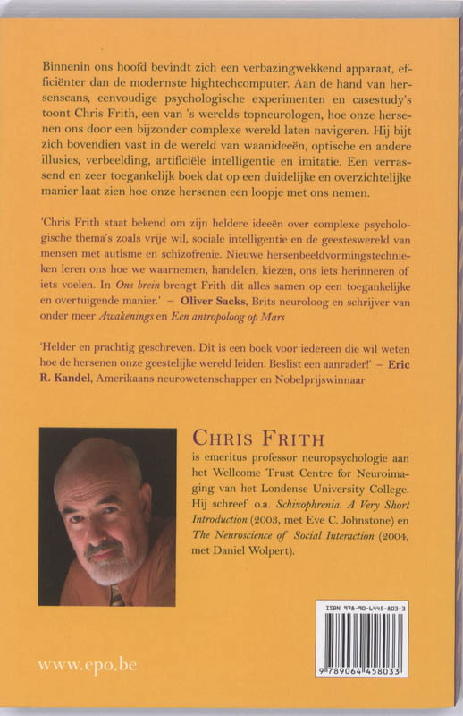 Ons brein achterkant