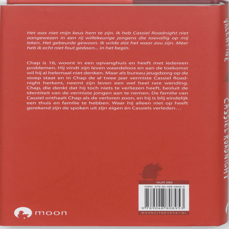 Het dubbelleven van Cassiel Roadnight achterkant