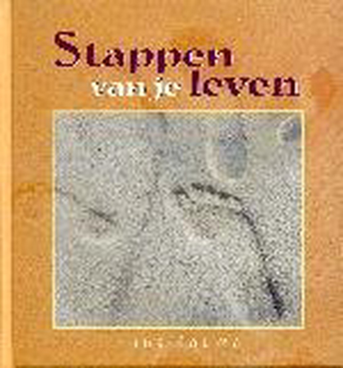 Stappen van je leven