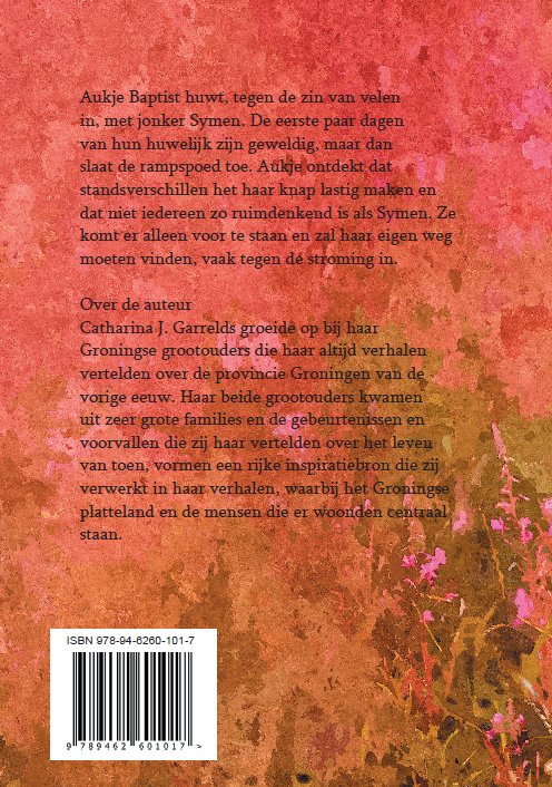 Aukje 2 -   Het huisje aan de dijk achterkant