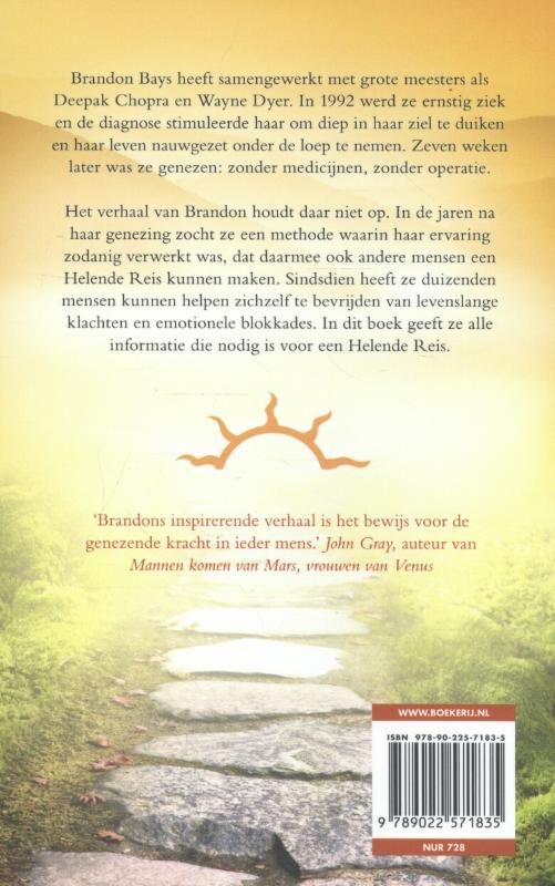 De helende reis achterkant