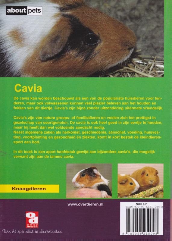 De cavia / Over Dieren achterkant