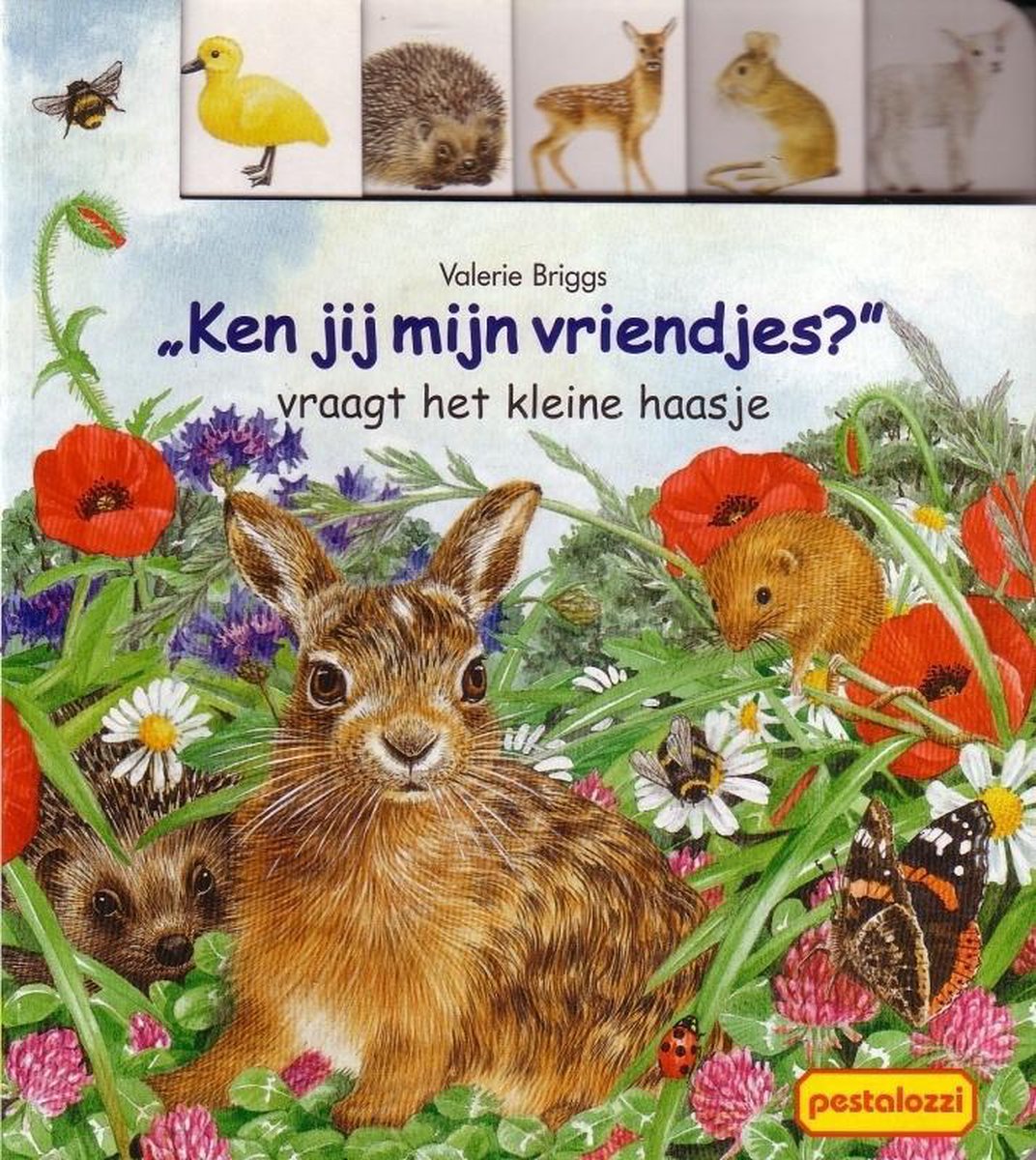 'Ken jij mijn vriendjes?' vraagt het kleine haasje [kartonboekje]