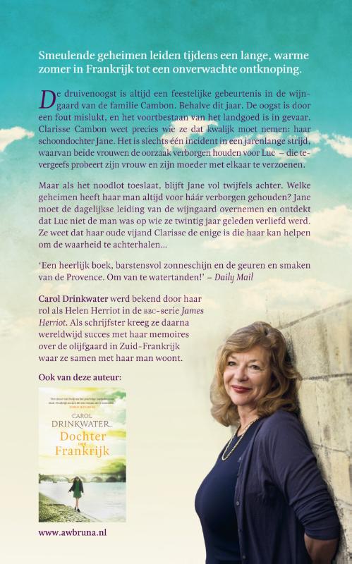 De vergeten zomer achterkant