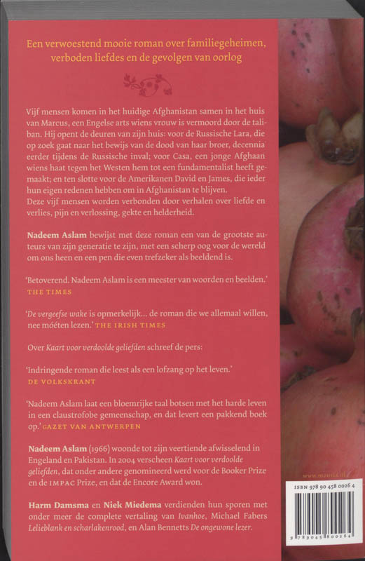 De vergeefse wake achterkant