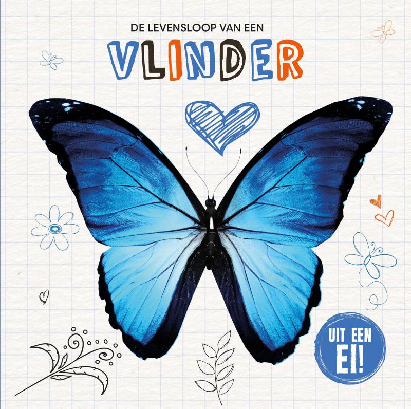 De levensloop van een vlinder / Uit een ei!