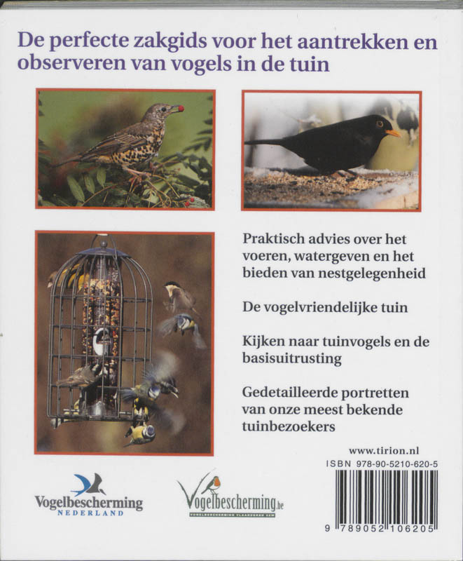 Kleine Vogels Over De Vloer achterkant
