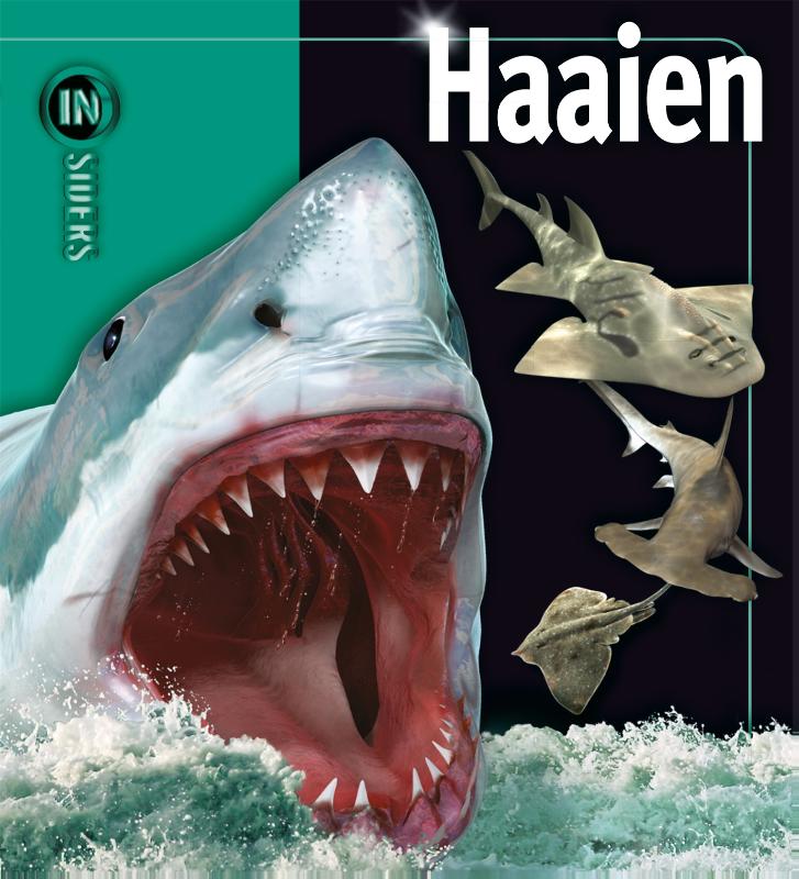 Haaien / Insiders