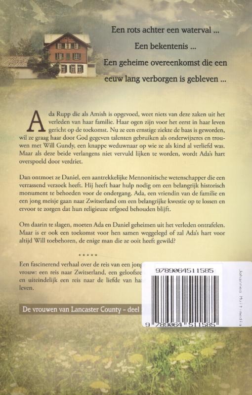 Het kindermeisje van de Amish achterkant