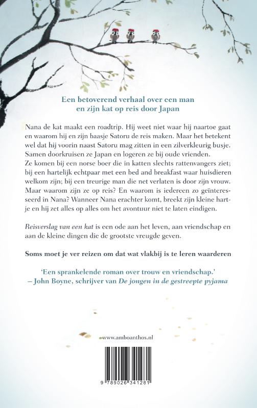 Reisverslag van een kat achterkant