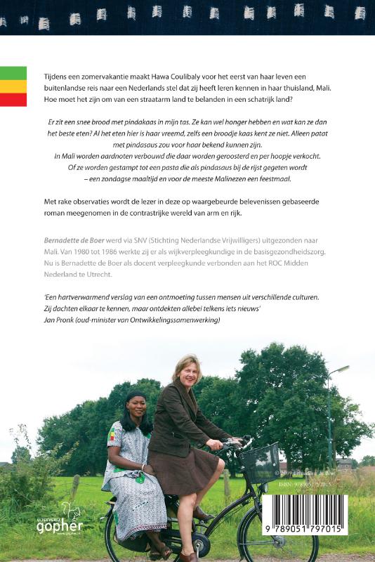 Malinese mangopit achterkant