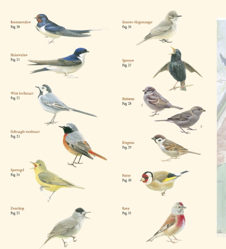 In beeld 24 - Erfvogels in beeld achterkant