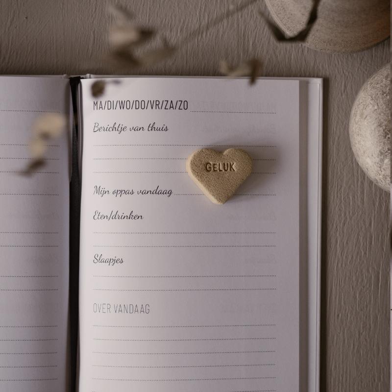 Invulboek oppas "zo was mijn dag" achterkant