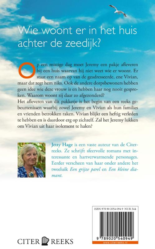 Het huis achter de zeedijk achterkant