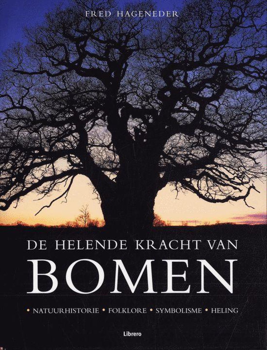 De Helende Kracht Van Bomen