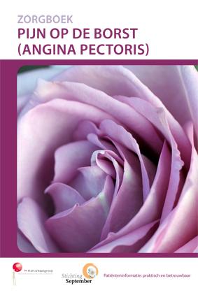 Pijn op de borst / Zorgboek