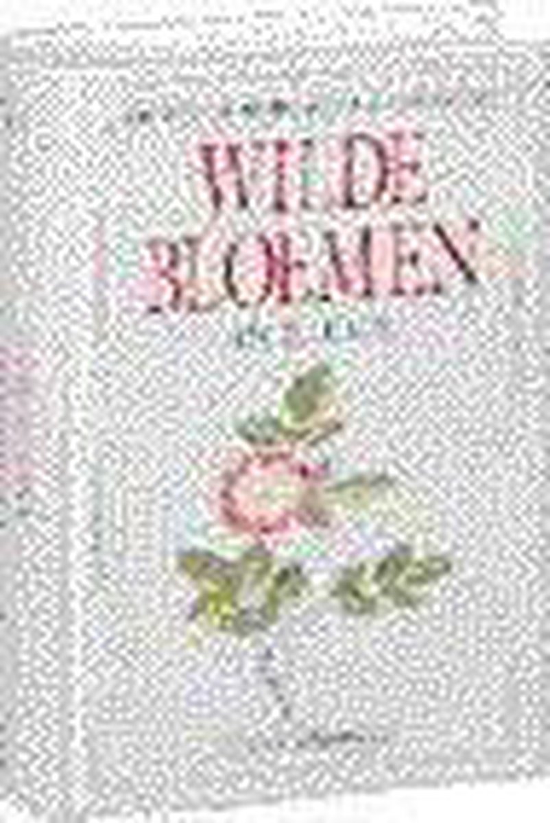 WILDE BLOEMEN IN KLEUR