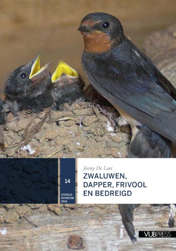Zwaluwen, dapper, frivool en bedreigd