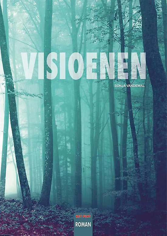 Visioenen