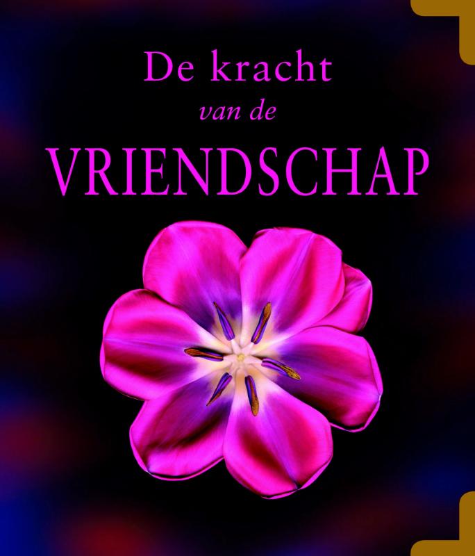 De kracht van de vriendschap