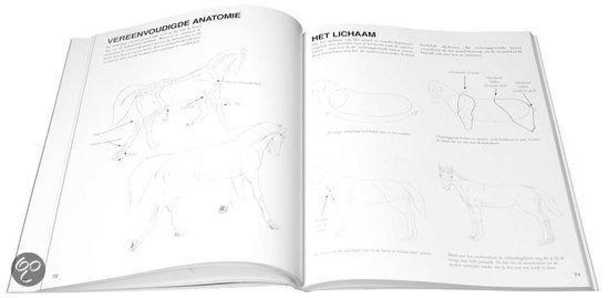 Eenvoudig Dieren Tekenen