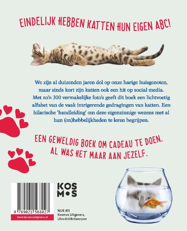 Zijne majesteit de kat achterkant
