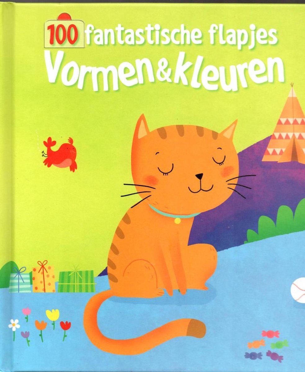 Vormen en kleuren / 100 fantastische flapjes