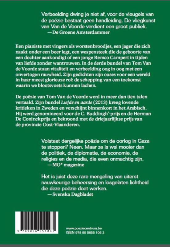 Zwembad de verbeelding achterkant