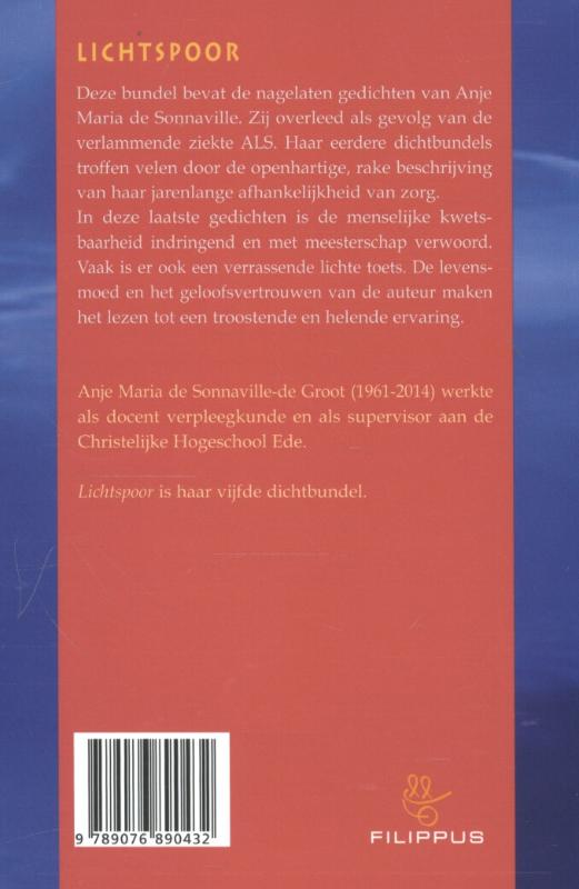 Lichtspoor achterkant