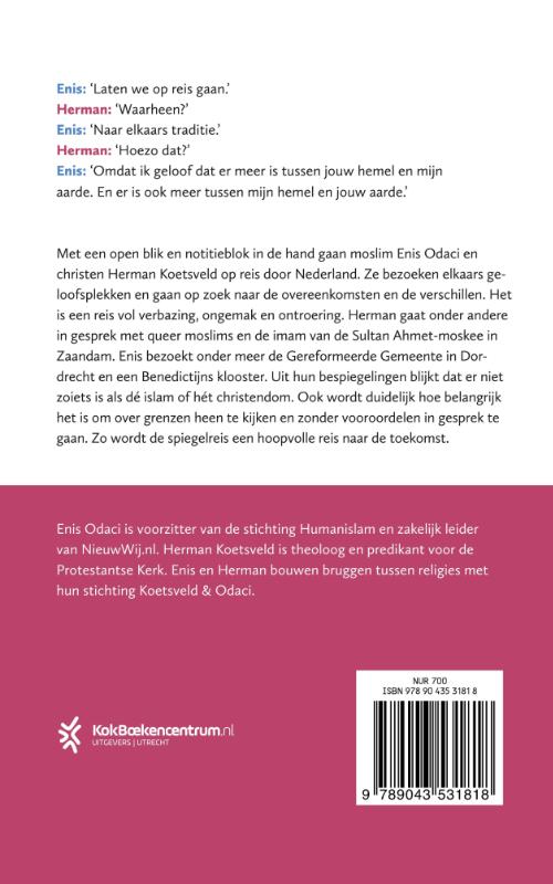 Spiegelreis achterkant