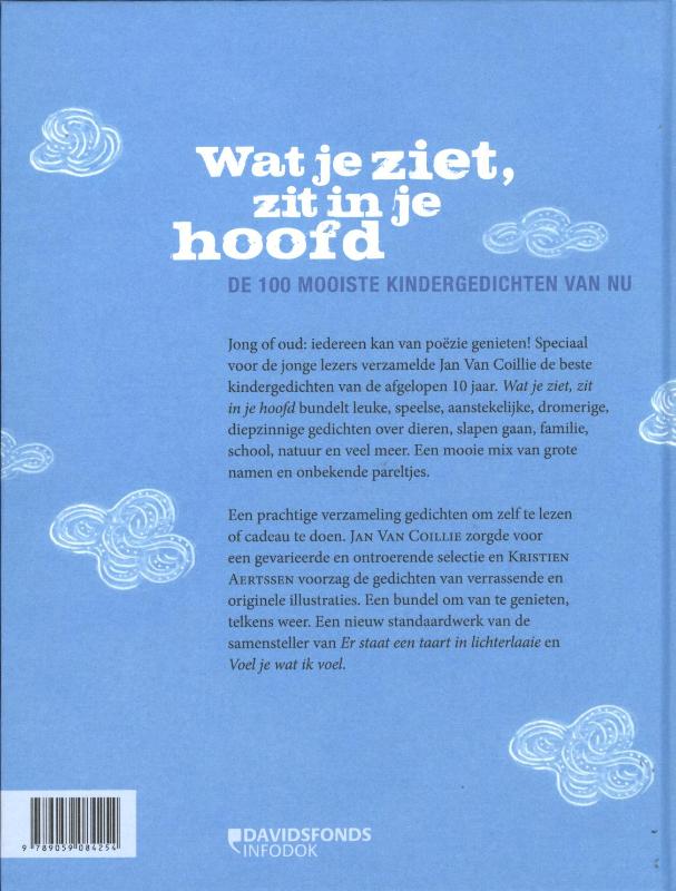 Wat je ziet, zit in je hoofd achterkant